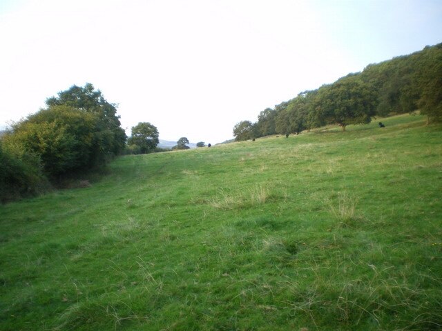 Photo "Harley" by Richard Law (CC BY-SA) / Cropped from original