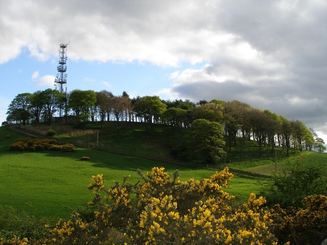 "Sheraton med Hulam"-foto av Carol Rose (CC BY-SA) / Urklipp från original