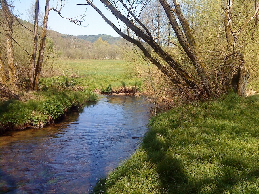 Zusammenfluss von Flörsbach (links) und Lohrbach (rechts), südlich von Lohrhaupten