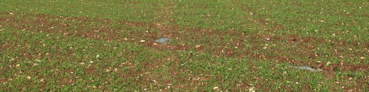 Photo "Path across field. Here the public footpath which at first follows a track called Common Road > 1041369 - it turns off in northerly direction in a lay-by on the northern side of the A1067 (Fakenham Road) > 1041349 and leads to the village of Foulsham > 1041660 a couple of kilometres further to the north - veers off in northwesterly direction at the end of Common Road > 1041428 and continues across a field. Not many walkers appear to be using this path at this time of the year and its course is defined only by the tyre marks that the farmer's tractor has left in the recently cultivated field. At the other end the shoes feel very heavy because of all the mud which is now adhering to them." by Evelyn Simak (Creative Commons Attribution-Share Alike 2.0) / Cropped from original