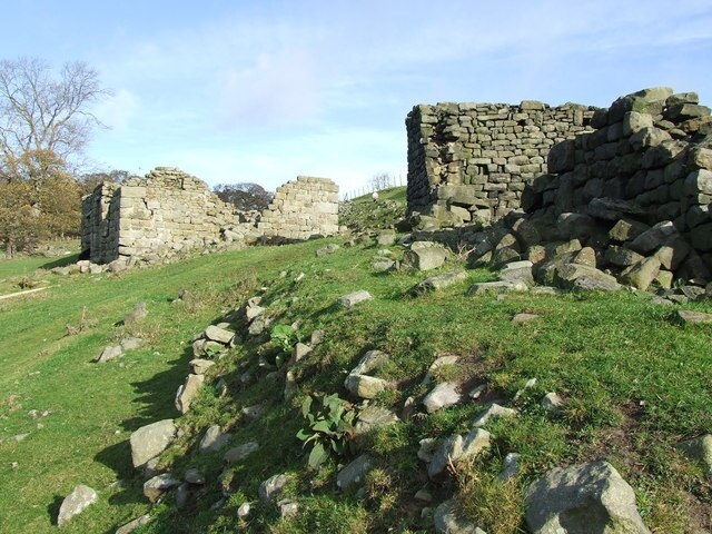 Foto “Lindley” tomada por Roger Nunn (CC BY-SA); recorte de la original