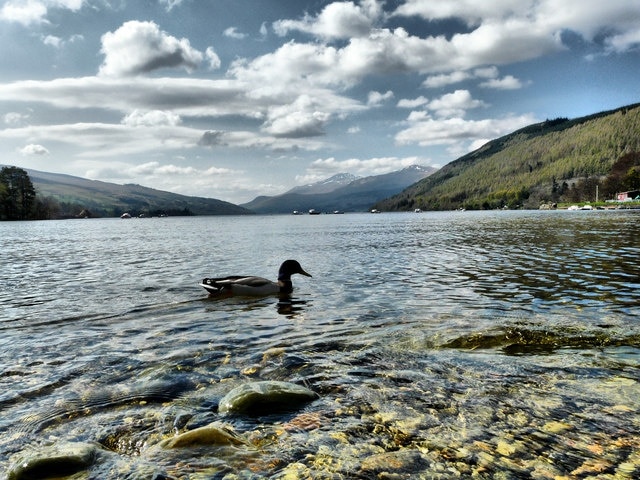 Loch Tay from Kenmore beach Quack quack.