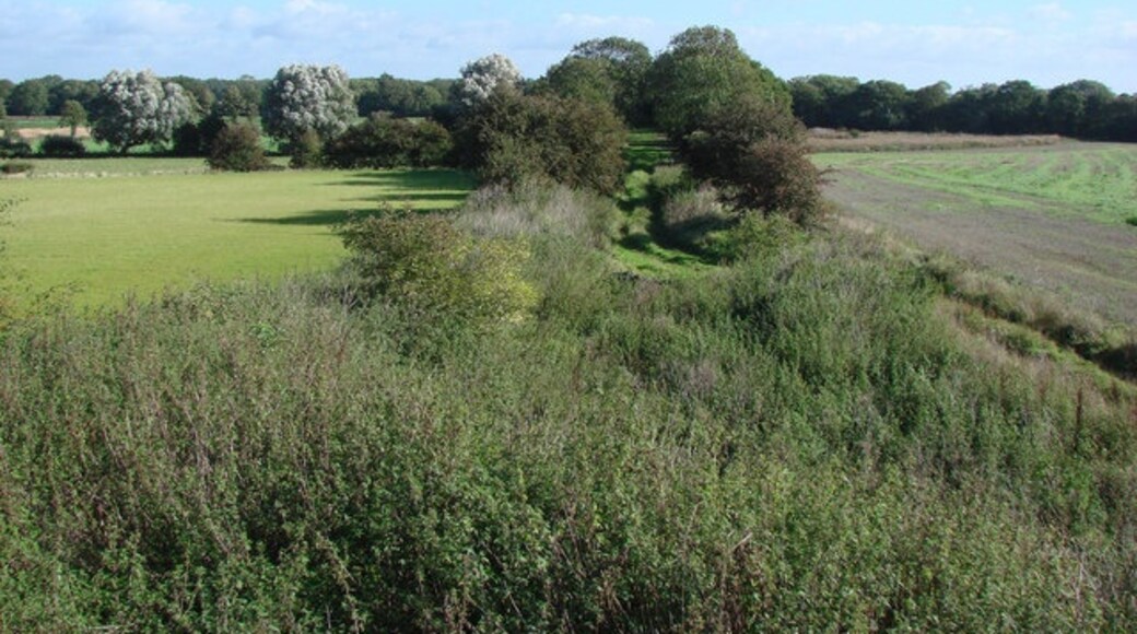 "Walden Stubbs"-foto av Bill Henderson (CC BY-SA) / Urklipp från original