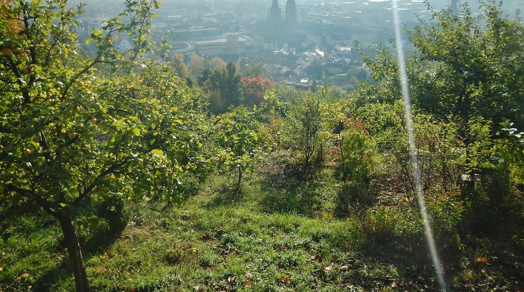 Foto „Neustadt-Stadtmitte“ von qwesy qwesy (CC BY)/zugeschnittenes Original