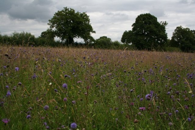 Photo "Hinton Blewett" by Neville Goodman (CC BY-SA) / Cropped from original