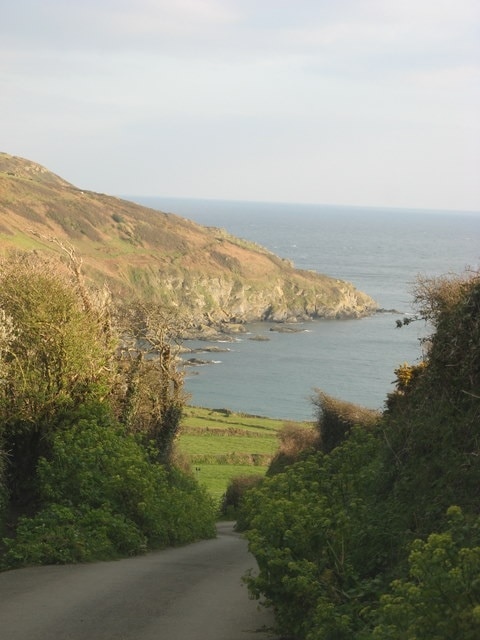 On the road from Boswinger to Hemmick Beach