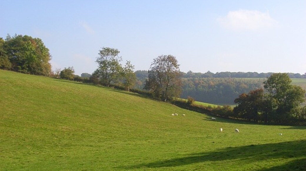 Foto "Buttermere" por Andrew Smith (CC BY-SA) / Recortada de la original