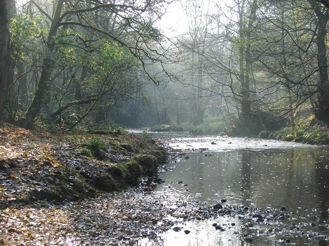 Bradshaw Brook Taken looking up River towards Jumbles reservoir