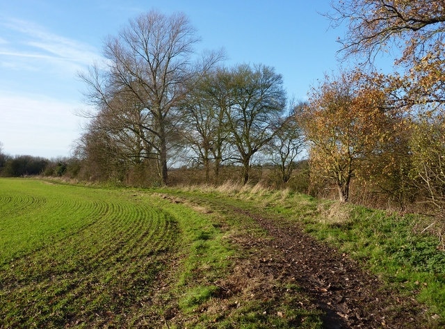 Footpath by Layer Brook Trees line the course of the brook which acts as a boundary between fields.