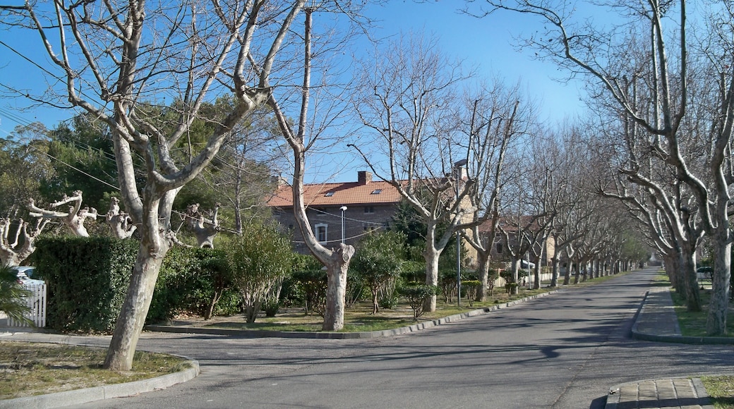Salin-de-Giraud, Arles, Département des Bouches-du-Rhône, France