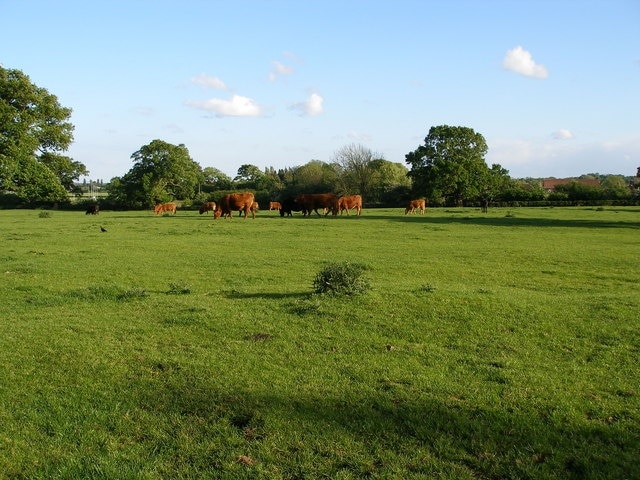 Billede "Kirk Deighton" af Carol Rose (CC BY-SA) / beskåret fra det originale billede