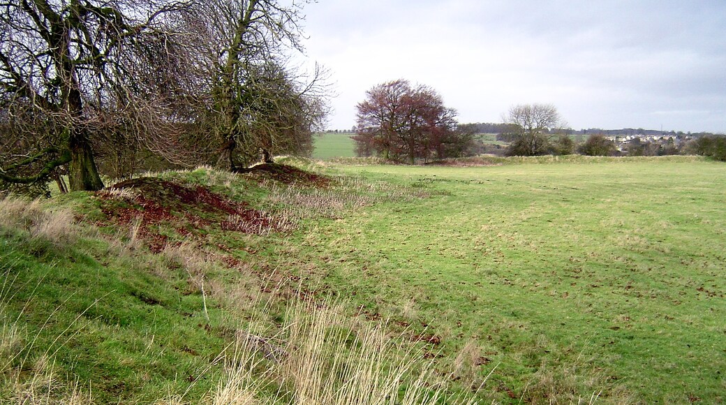 "Newbottle"-foto av Julian Dowse (CC BY-SA) / Urklipp från original