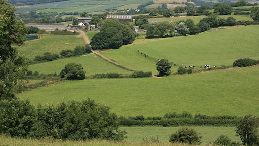 Foto ‘Lanreath’ van Adrian Platt (CC BY-SA) / bijgesneden versie van origineel