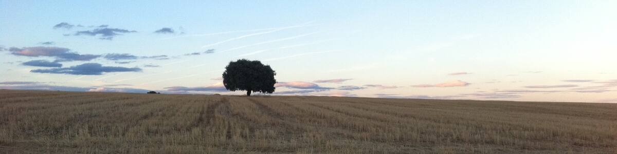 Photo "Rastrojo de cebada en Tamame." by Roinpa (Creative Commons Attribution-Share Alike 3.0) / Cropped from original