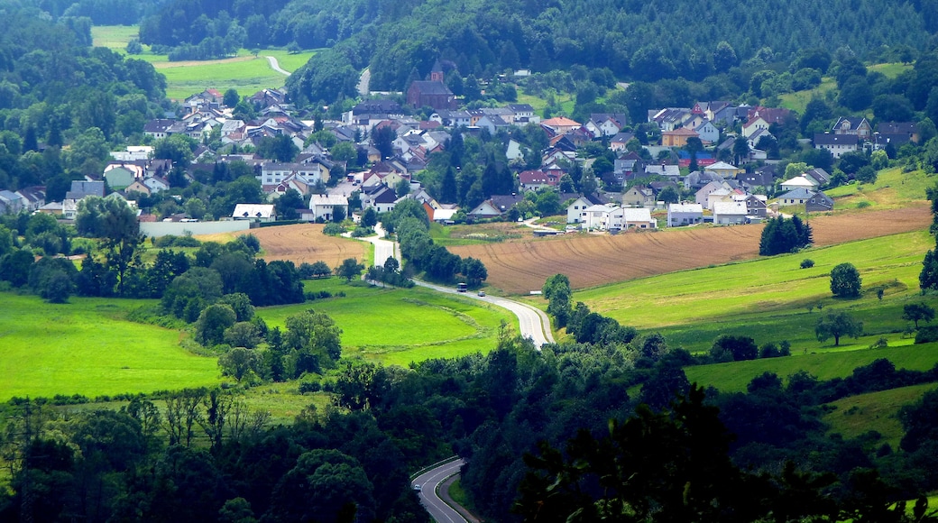 Foto „Saarburg“ von giggel (CC BY)/zugeschnittenes Original
