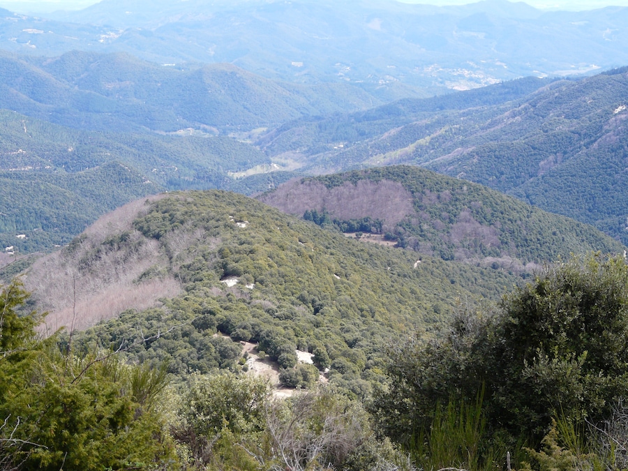 This is a a photo of a natural area in Catalonia, Spain, with id: