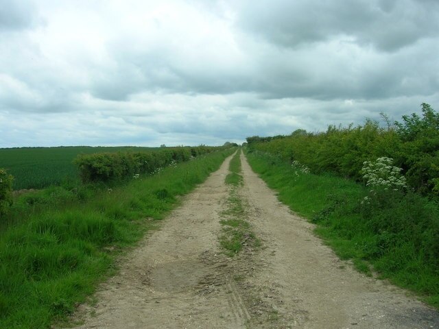 Foto “Kelk” tomada por JThomas (CC BY-SA); recorte de la original