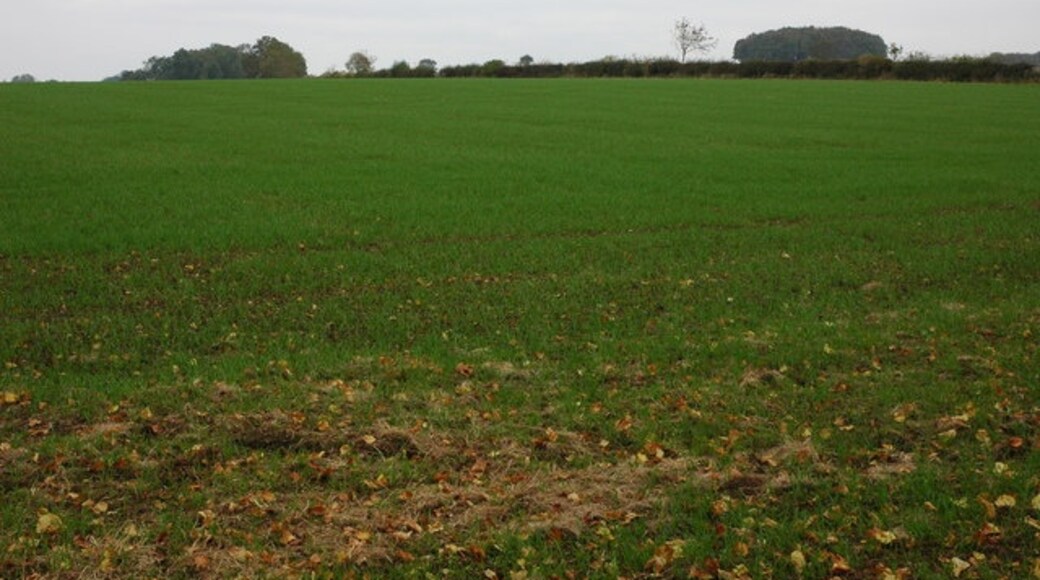 Kuva ”Syde” käyttäjältä Philip Halling (CC BY-SA) / rajattu alkuperäisestä kuvasta