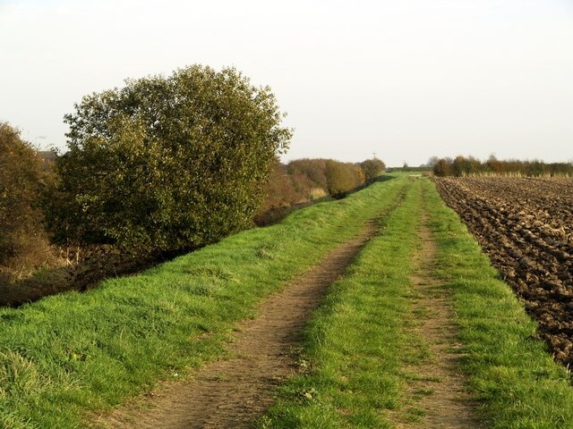 Photo "Wawne" by Andy Beecroft (CC BY-SA) / Cropped from original