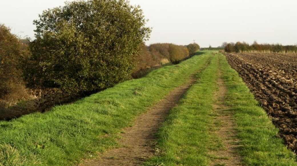 Photo "Wawne" by Andy Beecroft (CC BY-SA) / Cropped from original