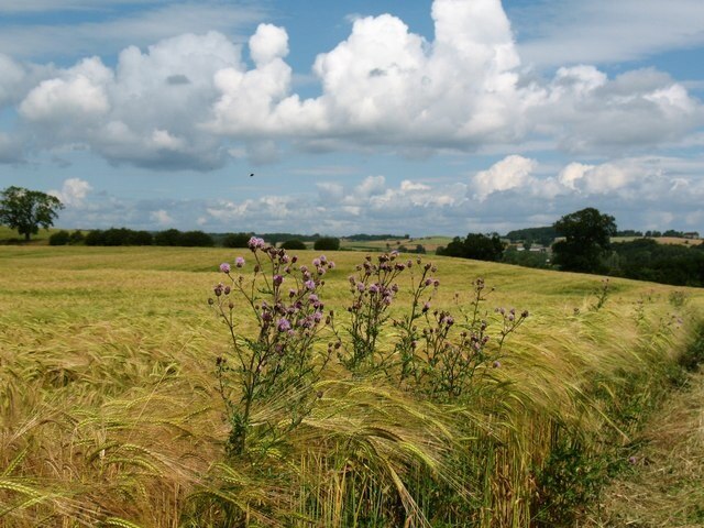 "Ellington High and Low"-foto av Gordon Hatton (CC BY-SA) / Urklipp från original