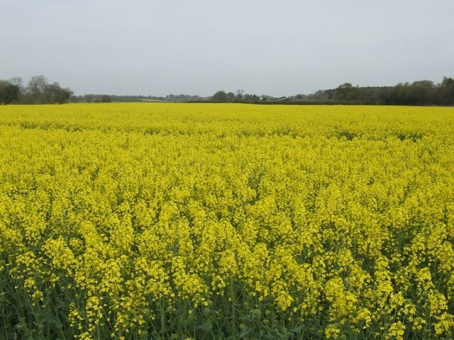 "Sutton Upon Tern"-foto av John M (CC BY-SA) / Urklipp från original