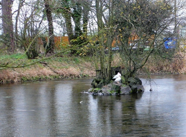 Village Pond, Clawddnewydd The pond is adjacent to the pub, the Glan Llyn (= Lakeside) and is inhabited by two ducks who live on an island in its middle.