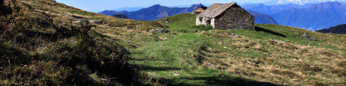 Photo "Die Alpe Cadinello (1828 m.ü.M.) am Südeingang des Tunnels von Mesolcina oberhalb von Roveredo im Grenzbereich zwischen den Schweizer Kantonen Tessin und Graubünden. In der Ferne steht der mächtige Monte Rosa." by Uwelino (Creative Commons Attribution-Share Alike 4.0) / Cropped from original