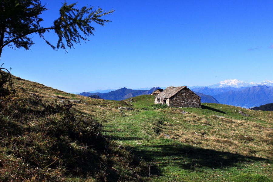 Die Alpe Cadinello (1828 m.ü.M.) am Südeingang des Tunnels von Mesolcina oberhalb von Roveredo im Grenzbereich zwischen den Schweizer Kantonen Tessin und Graubünden. In der Ferne steht der mächtige Monte Rosa.