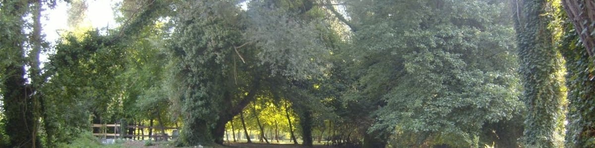 Photo "Il fiume Nera ad Arrone" by Brigitte (Creative Commons Attribution-Share Alike 2.0) / Cropped from original