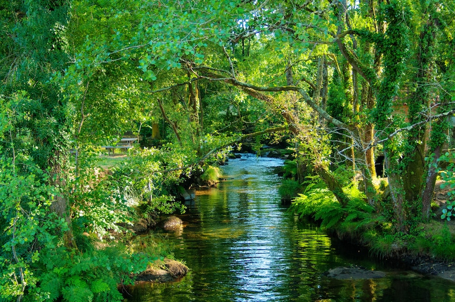 Gadanha River in Monção.