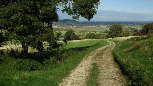 Kuva ”Prescott” käyttäjältä Philip Halling (CC BY-SA) / rajattu alkuperäisestä kuvasta