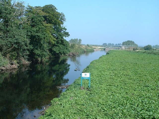 River Tame at Lea Marston. From the road bridge SP205935 looking north