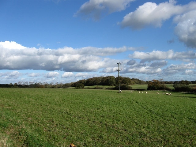 Silver Mead (2) The name of the field according to the 1838 tithe map. This is the southern end as it gradually slopes down towards a small unnamed stream. Plumpton Wood is in the distance.