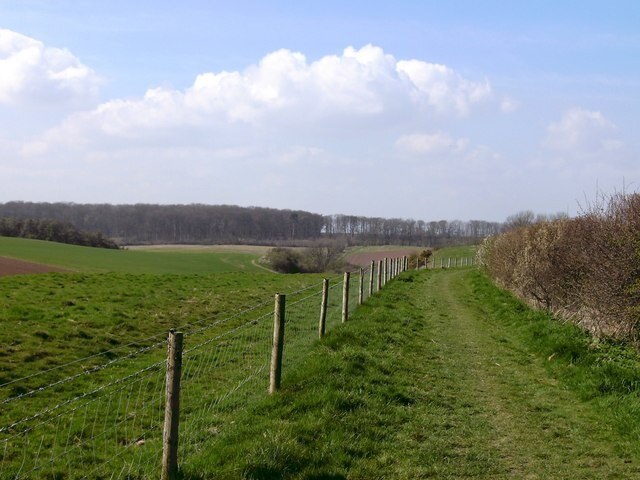 Foto "Irby" por John Beal (CC BY-SA) / Recortada de la original