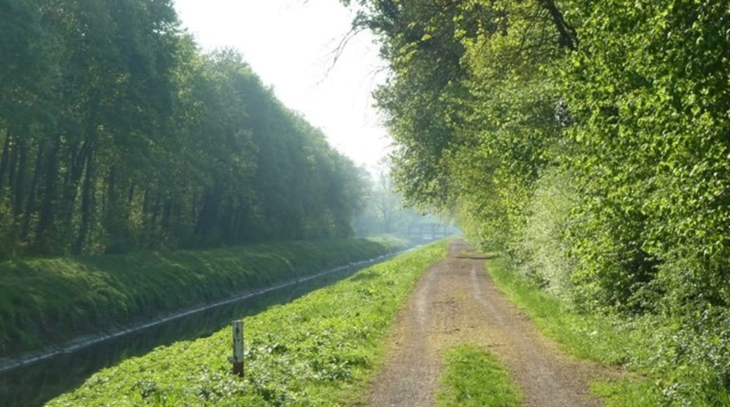 « Hagsfeld», photo de Harald Kucharek on geo.hlipp.de (CC BY-SA) / rognĂ©e de lâoriginale