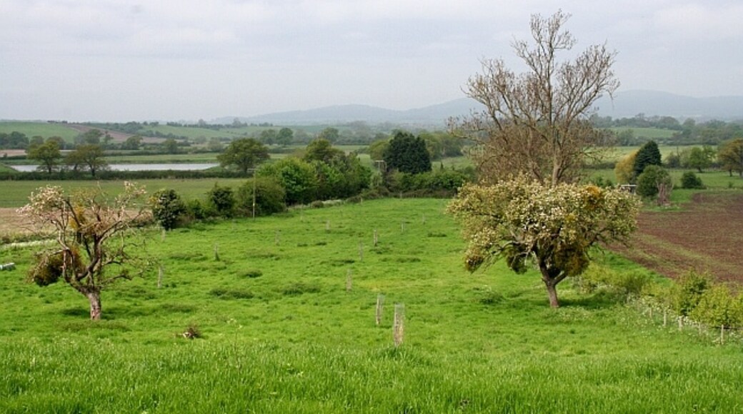 Photo "Longdon" by Bob Embleton (CC BY-SA) / Cropped from original