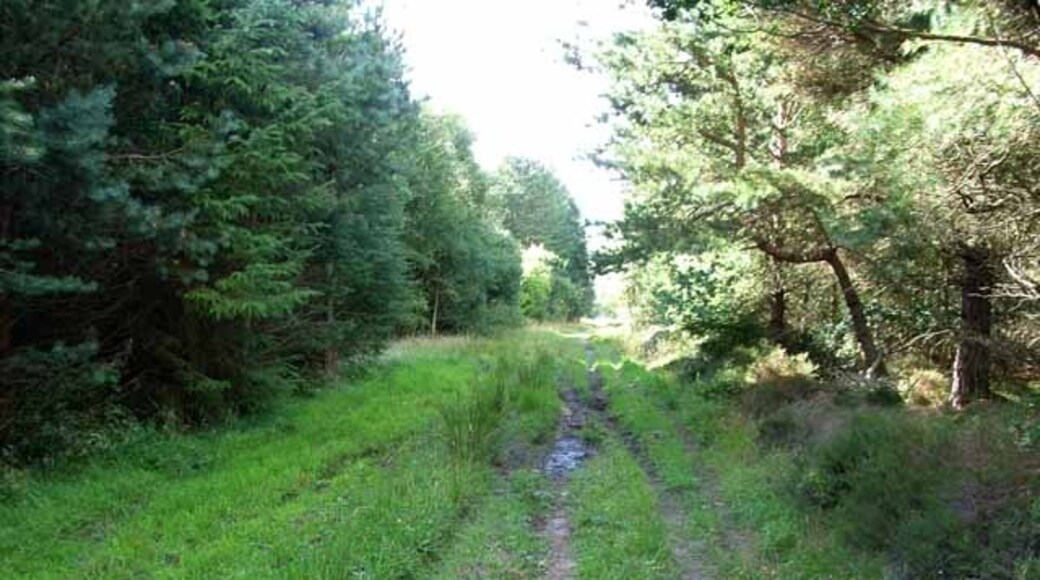 Photo "Harwood Dale" by Oliver Dixon (CC BY-SA) / Cropped from original