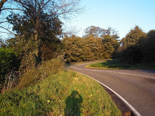 Kuva ”Bigby” käyttäjältä Martyn Whiteley (CC BY-SA) / rajattu alkuperäisestä kuvasta