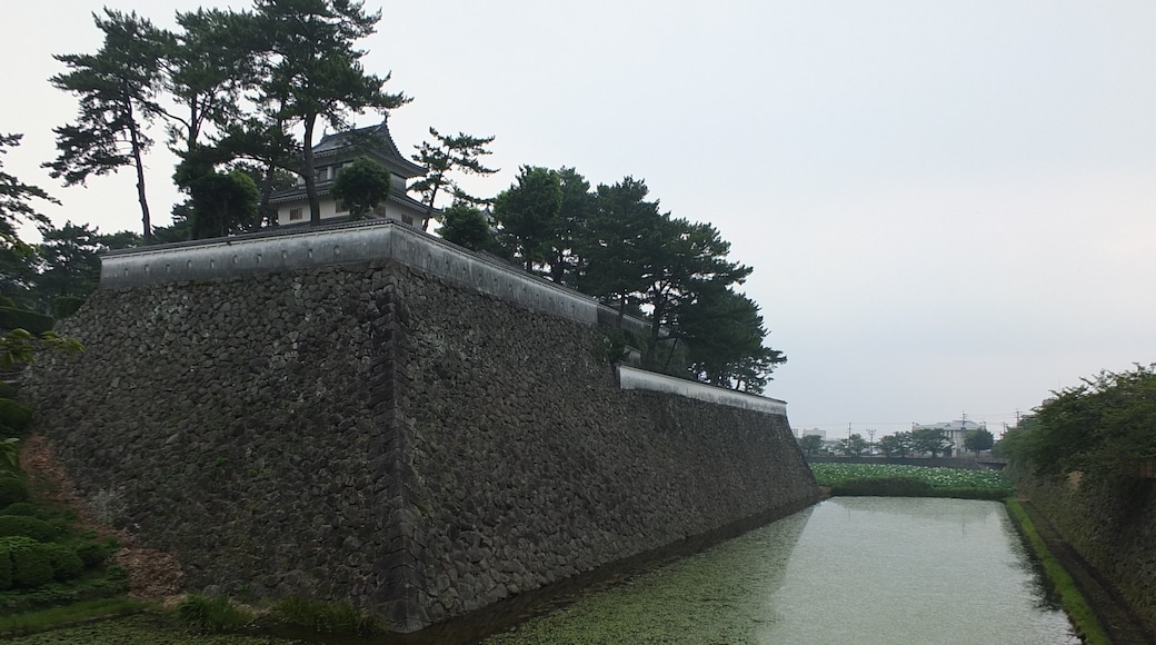 Photo "Shimabara Castle" by sk01 (CC BY-SA) / Cropped from original