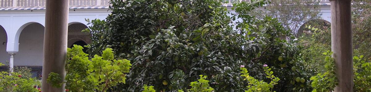 Photo "Claustro del Herbolario. Convento de Santa Inés (Sevilla)" by José Luis Filpo Cabana (Creative Commons Attribution 3.0) / Cropped from original