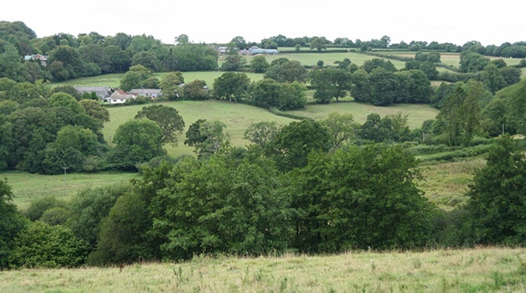 "Whitestaunton"-foto av Martin Bodman (CC BY-SA) / Urklipp från original