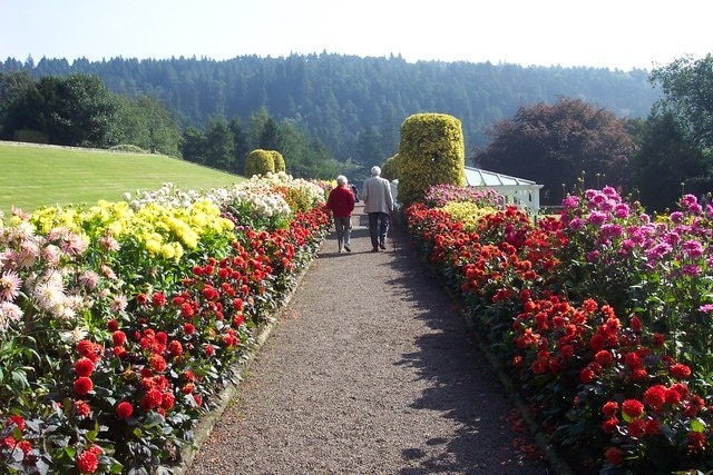 Dahlia Border in summer splendour. Within the gardens at Cragside.