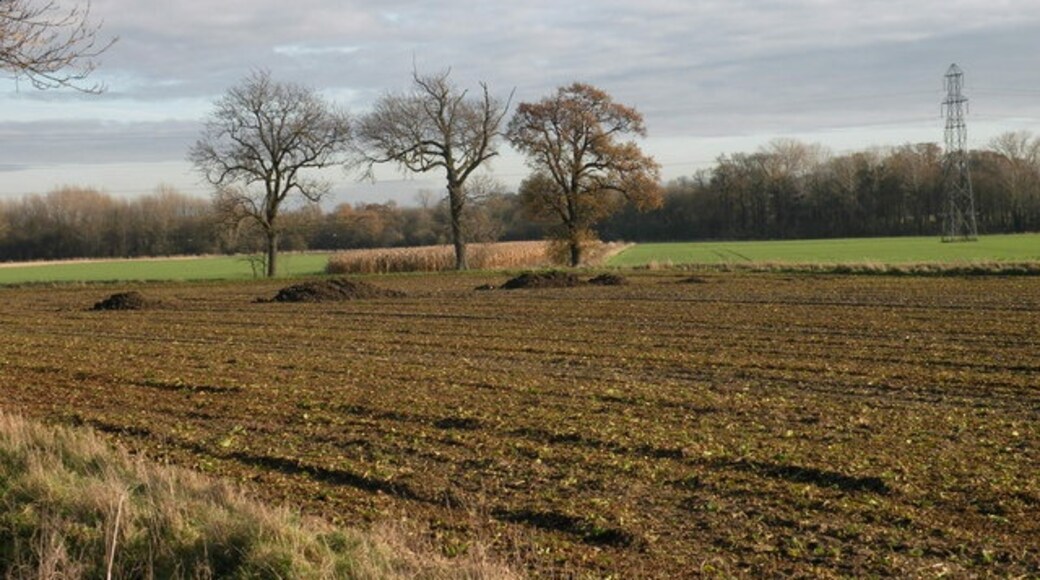 Foto "Fen Ditton" por Keith Edkins (CC BY-SA) / Recortada de la original