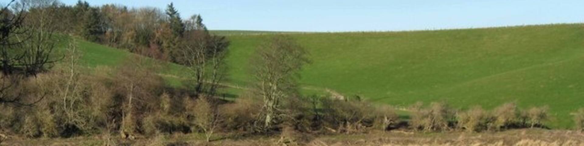 Fishwick Burn and River Tweed from Horncliffe Woods