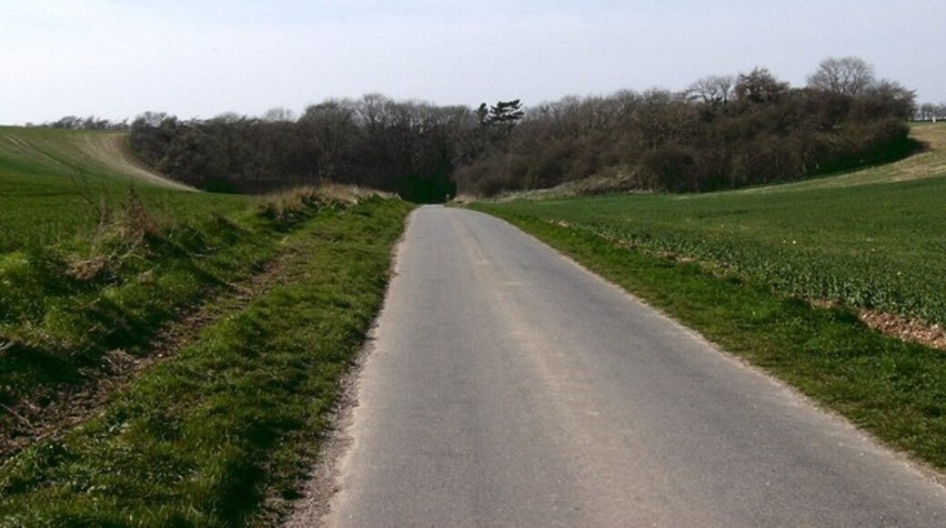 Foto "West Ravendale" por John Beal (CC BY-SA) / Recortada de la original