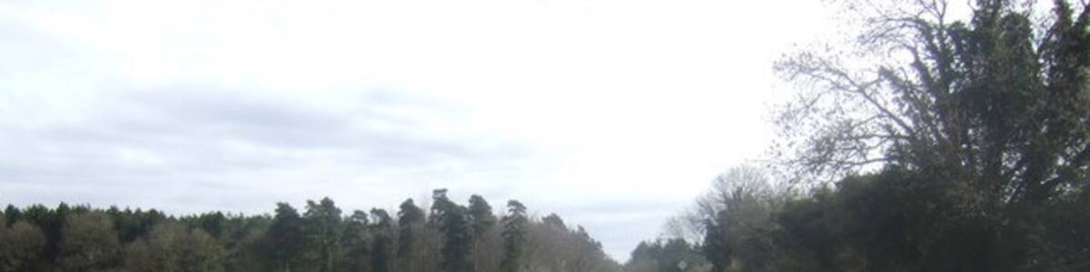 Photo "Wheat field and Four Score The road to Hilborough enters the woodland in the distance which is presumably 80 acres in area." by Jonathan Billinger (Creative Commons Attribution-Share Alike 2.0) / Cropped from original