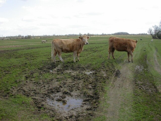 Foto „Hardwick“ von Kokai (CC BY-SA)/zugeschnittenes Original