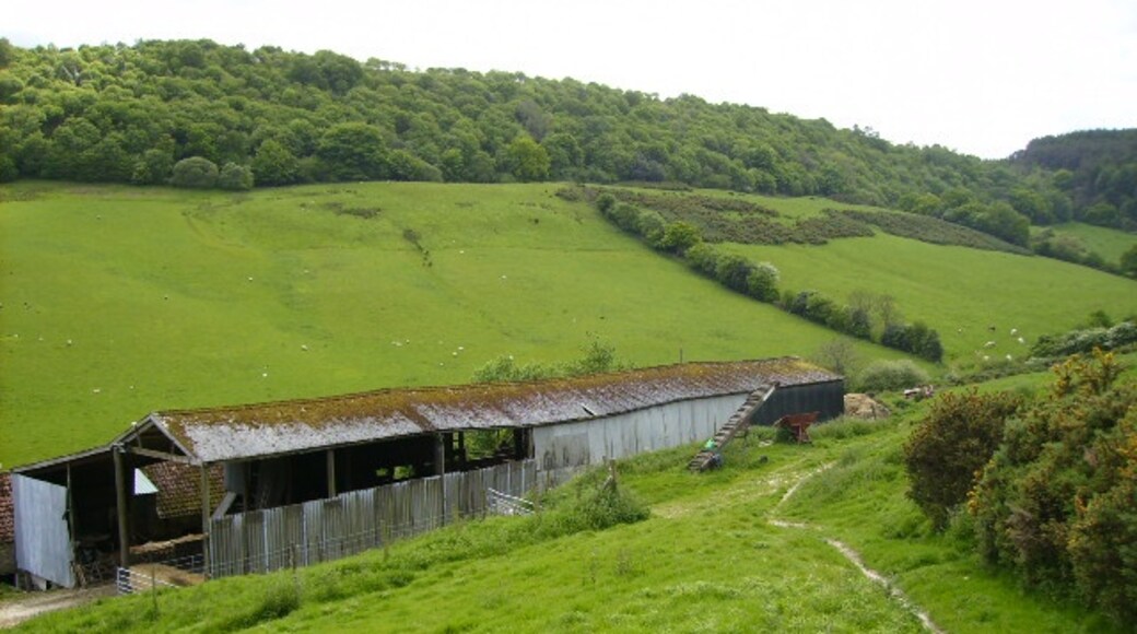 Photo "Broxa-cum-Troutsdale" by Phil Catterall (CC BY-SA) / Cropped from original