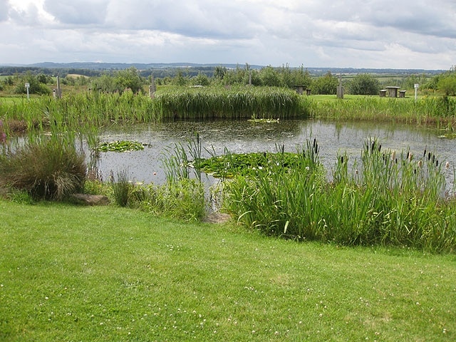 View across the lake A pleasant change from the motorway at the rear of the services at Donington Park, Jn 23a, M1.